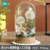 Materiales para Manualidades de Flores Preservadas Flores Secas Adornos de Cúpula de Cristal Actividad de Arreglo Floral Hecho a Mano para Padres e Hijos Regalos de Temporada de Graduación Adornos Colgantes