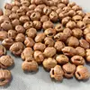 Fechadura da Sorte Pequena de Caroço de Pêssego Pulseira de Bebê Tecida Escultura de Caroço de Pêssego Selvagem Ano do Zodíaco Bebê Calmante Fechadura da Sorte de Caroço de Pêssego Dupla Face