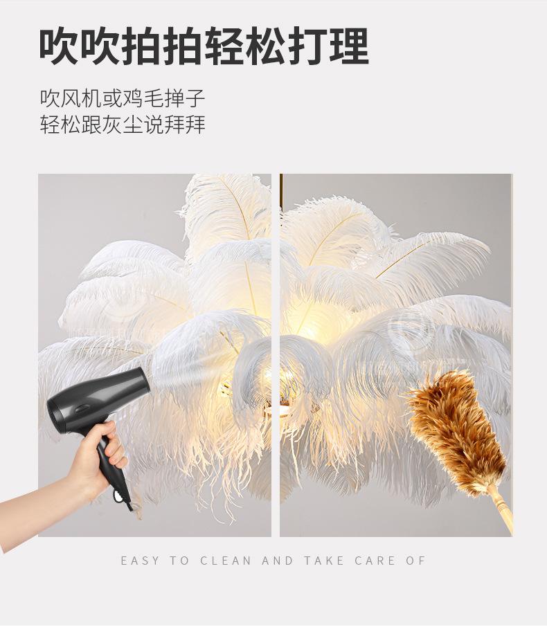 描述图_6.jpg
