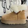 Botas de Nieve con Hebilla de Cuerno de Toro sobre Gamuza para Mujer, Suela Gruesa, Nuevo Estilo Invierno 2026, Piel y Piel Integradas, Botas de Algodón de Moda, Botas de Algodón Engrosadas
