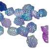 Pétalas de Camélia em Gradiente de Duas Cores Concha Ma Beibei Flor de Concha Flor de Peônia de Jade Fragrante Peônia Tianzhu Flor de Peônia