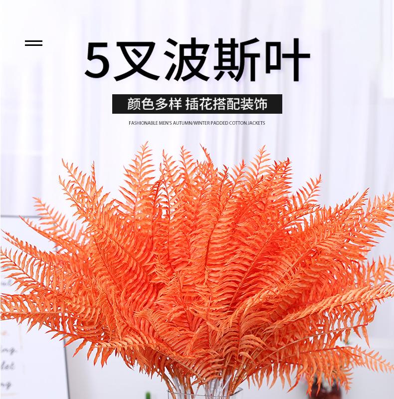 5叉波斯叶_01.jpg