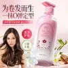 Elasticizador Yanqi Orchid para Cabello Rizado de Mujer, Protector Elástico de Rizos, Voluminizador, Antifrizz, Fijación Duradera, Uso Profesional en Salón, Mayoreo