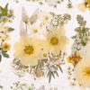 Marcador de Página com Flor Seca em Relevo Pacote de Material DIY Feito à Mão Cola Adesivos de Casamento em Relevo Decoração de Porta-Retrato Espécimes de Plantas