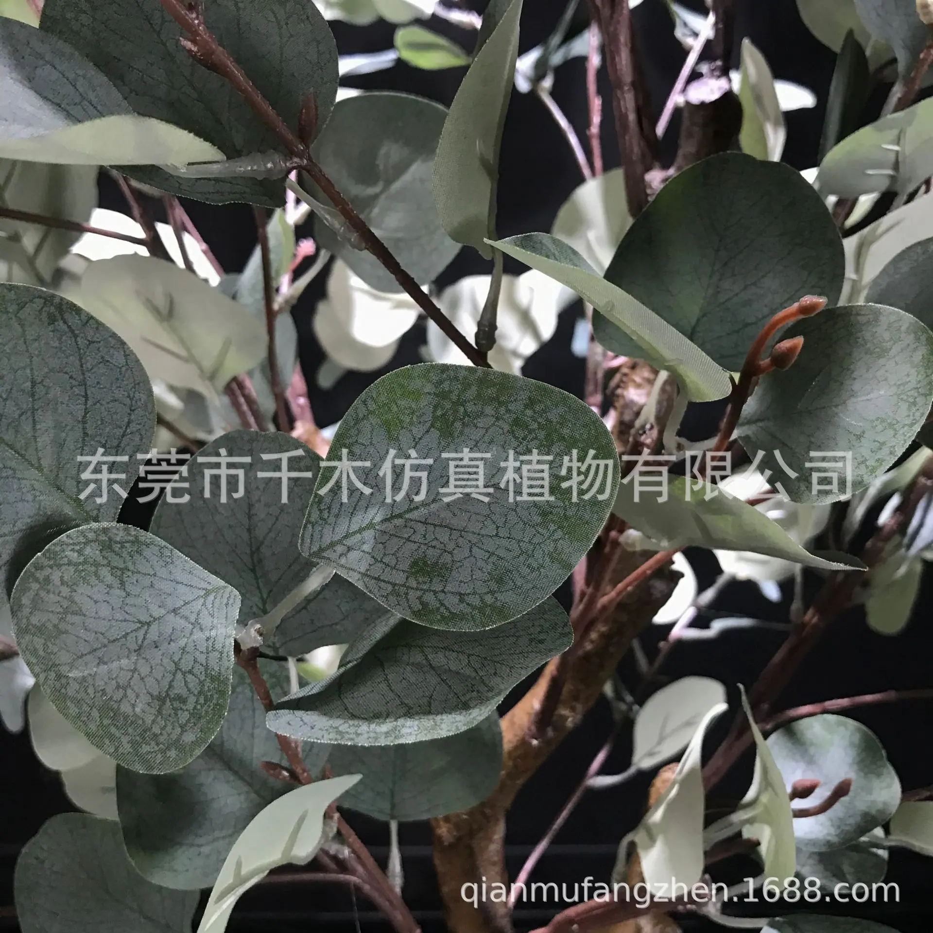微信图片_202112111434211