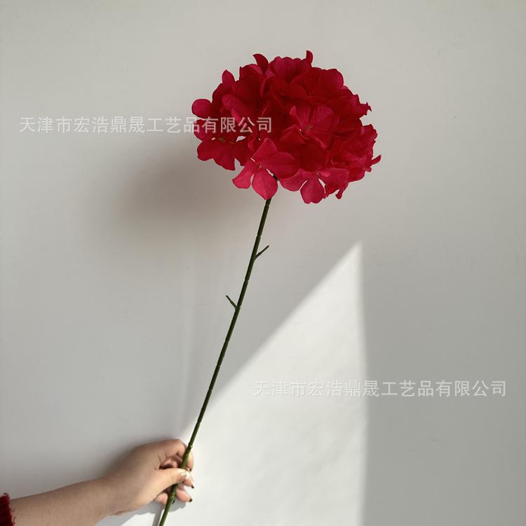 微信图片_20230308181954_副本