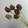 Flor artificial, 3 bolas de cebolla, flor falsa, decoración del hogar, diente de león, fruta, planta de interior, material para arreglos florales, plástico, frijol adzuki, fruta