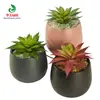 Planta Suculenta de Cactus, Loto de Piedra, Baolian, Loto de Nieve, Planta Suculenta Mini en Maceta, Decoración Llamativa, Joyería
