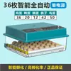 Incubadora totalmente automática, incubadora inteligente de huevos de aves de corral, directo de fábrica, disponible para exportación y comercio transfronterizo