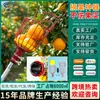 Herramienta para Recoger Fruta de Rama Alta con Poste Telescópico Extensible, Cosecha Segura para Pomelos, Manzanas, Duraznos de Huerto, Artefacto para Recoger Fruta de Gran Altura
