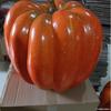 Calabazas simuladas, 8.5cm-50cm de espuma, Calabazas de Halloween, Venta directa de fábrica, Accesorios, Modelos de calabaza falsos para fotografía.
