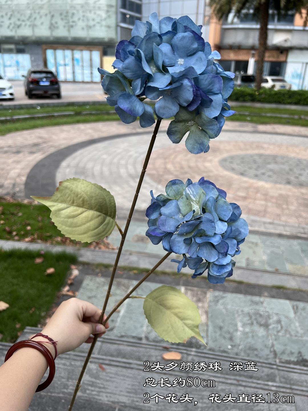 微信图片_20231106111917