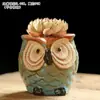 Atacado do Fabricante Vasos de Flores Suculentas Animais Peixe-Palhaço Desenho Animado Cerâmica Diâmetro Pequeno e Médio Argila Respirável Artesanato Fofo