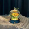 Mini Luz Nocturna 2025 Creativos Adornos de Manzana Brillantes Flores de Manzana Regalos de Navidad para Amigos y Compañeros