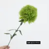 Simulación de Boda Bola de Pelo Verde Material de Flores Clavel Verde Vestido Suave de Boda Hogar Moderno Hotel Flor Artificial Flor Arte Floral Arreglo Floral