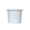 Alice Deepot Escandinavo Simples Controle de Raiz Resina Vaso Galão Rosa Hortênsia Jiboia Alice Vaso de Flores de Plástico