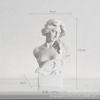 Boceto Boceto Naturaleza Muerta Escultura Adornos Decoración del Hogar Arte Yeso Ayudas Didácticas Piano Busto Femenino Estatua de Yeso