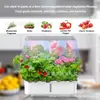 Comercio exterior grafiti WiFi inteligente planta hidropónica máquina completa general luz LED lámpara de crecimiento de plantas interior plantación hidropónica