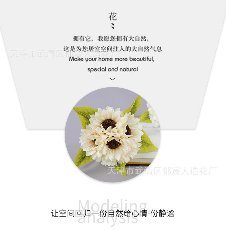 详情_05.png