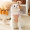 Chaleco Minimalista de Oso de Felpa Teddy Japonés y Coreano Chaleco de Gato Otoño e Invierno Camiseta Base de Felpa Engrosada Traje de Dos Piezas