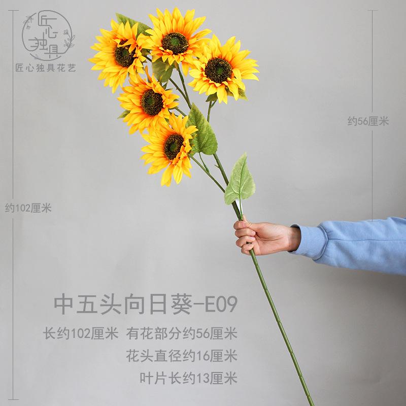 中五头向日葵 E09