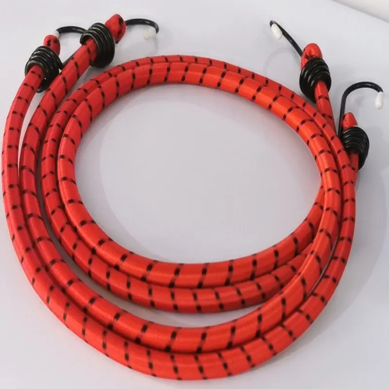 luggage rope (1)
