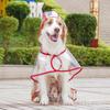 Impermeable para Mascotas Senwan Amazon Perro Grande Transparente Salida Perro Grande Impermeable para Perros Border Collie Ropa para Perros Mayoreo