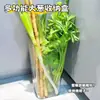 Caja de Almacenamiento Multifuncional para Cebolla Verde, Contenedor de Almacenamiento Transparente para Ñame con Palo de Hierro, Almacenamiento de Ingredientes de Jengibre y Ajo para Cocina, Almacenamiento de Verduras de Gran Capacidad