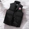 Colete de Algodão com Penas Quente de Venda Cruzada Outono e Inverno, Colete Casual Sem Mangas, Estilo Casal, Compra em Grupo, Gola Alta, Liquidação