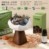 Pedra Difusora Aromaterapia Cristal Sala Quarto Longa Duração Doméstico Sofisticado Fragrância de Óleo Essencial Ornamentos Presentes de Aniversário para Meninas