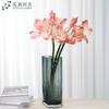 Flor Simulada Tacto Clivia Amaryllis Decoración Suave Diseño Arreglo Floral Decoración de Boda Decoración Estudio Fotográfico Venta Directa de Fábrica