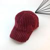 Gorra de Béisbol de Peluche de Diseñador Japonés Celebridad de Internet Estilo Coreano Cara Elegante Gorra Pequeña para Mujer Invierno Engrosada Cálida
