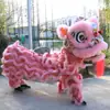 Juego Completo de Accesorios para Danza del León de Adulto, Suministros para Danza del León de Foshan, Cabeza de León del Sur para Danza del León, Juego Completo de Accesorios para Danza del León de Doble Cabeza
