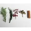 Aromaterapia sin fuego Canela Flores secas que atraen la riqueza Flores eternas Kit de materiales DIY Difusor Piedra difusora de cristal DIY Venta al por mayor
