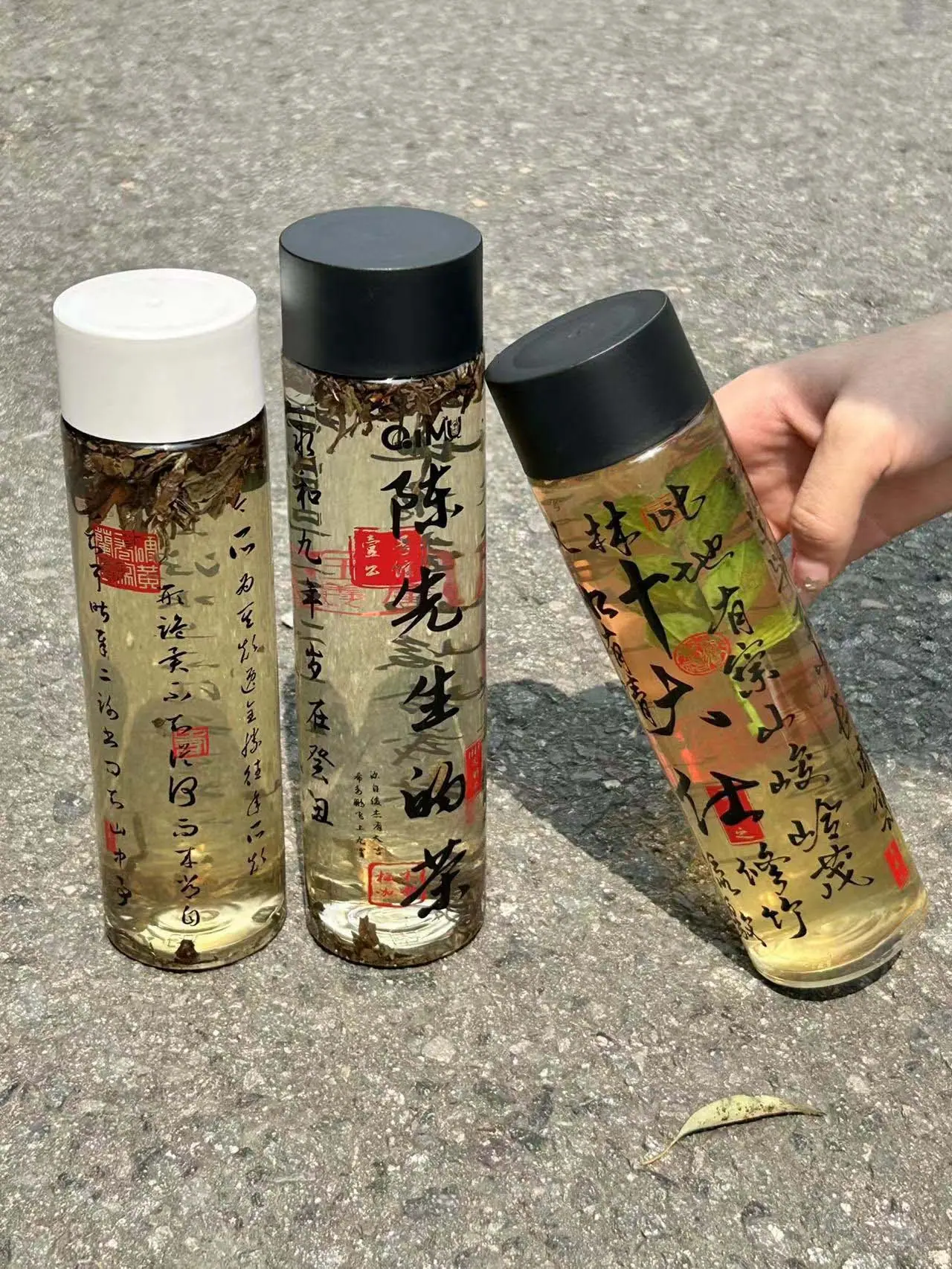 微信图片_2023090409502112.jpg