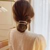 Presilha de Banana Vazada, Presilha de Cabelo Fashion para Rabo de Cavalo na Parte de Trás da Cabeça, Presilha Horizontal, Presilha Twist Korean Frosted, Grampo Pequeno Dentado para Mulheres