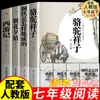 Clásicos de Lectura Obligatoria para Estudiantes de Secundaria de los Grados 7-9, Volumen 1 y 2, El Clásico de Camel Xiangzi, Notas de Insectos, Lecturas Extracurriculares de la Editorial Educación Popular