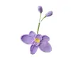 Flor de Phalaenopsis Transfronteriza Regalo de San Valentín Flor Hecha a Mano Flor de Lana Flor Tejida Terminada Venta al por Mayor Flor Tejida Crochet Simulación