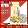 Fábrica 500g Germe de Arroz Germe Preservado Arroz Japonica 0,5kg Grão de Arroz Atacado Personalização OEM