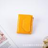 Cartera de Personalidad con Patrón de Piedra para Mujer 2023 Nueva Corta Estilo Occidental Cartera Lacada Tarjetero Lindo Monedero