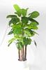 Simulación de comercio exterior taro verde simulación taro de hadas bonsái planta de simulación Guanyin goteante adornos decorativos en maceta venta al por mayor