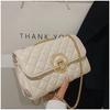 Bolsa Pequena de Luxo Feminina 2024 Nova Tendência Moda Outono e Inverno Textura Popular Bolsa Transversal Bolsa de Ombro Preta