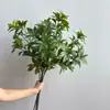 Planta Verde Artificial de Rama Única, Madera de Caballo, Arreglo Floral para Ventana del Hogar, Planta de Árbol de Madera de Caballo para Sala de Estar, Fabricante Mayorista Transfronterizo