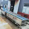 Máquina de lavar vegetais totalmente automática linha de montagem de limpeza de vegetais e limpeza de carne e secagem ao ar máquina de limpeza por bolhas de pêssego amarelo cerejas