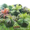 Musgo Sintético Decoración Suave para Interiores Conjunto de Micro-Paisajismo Combinación Ventana Pasillo Musgo Falso Planta Verde Decoración de Paisajismo Arreglo