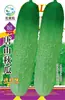 Semillas de Pepino Fruta Niña de Jade, Crujientes, Dulces, Jugosas, Sin Espinas para Maceta en Balcón, Auténtico Qiujin Research No de Tangshan. 4