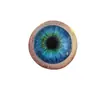 Bestseller transfronterizo Decoración de Ojo de Monstruo Hiperrealista