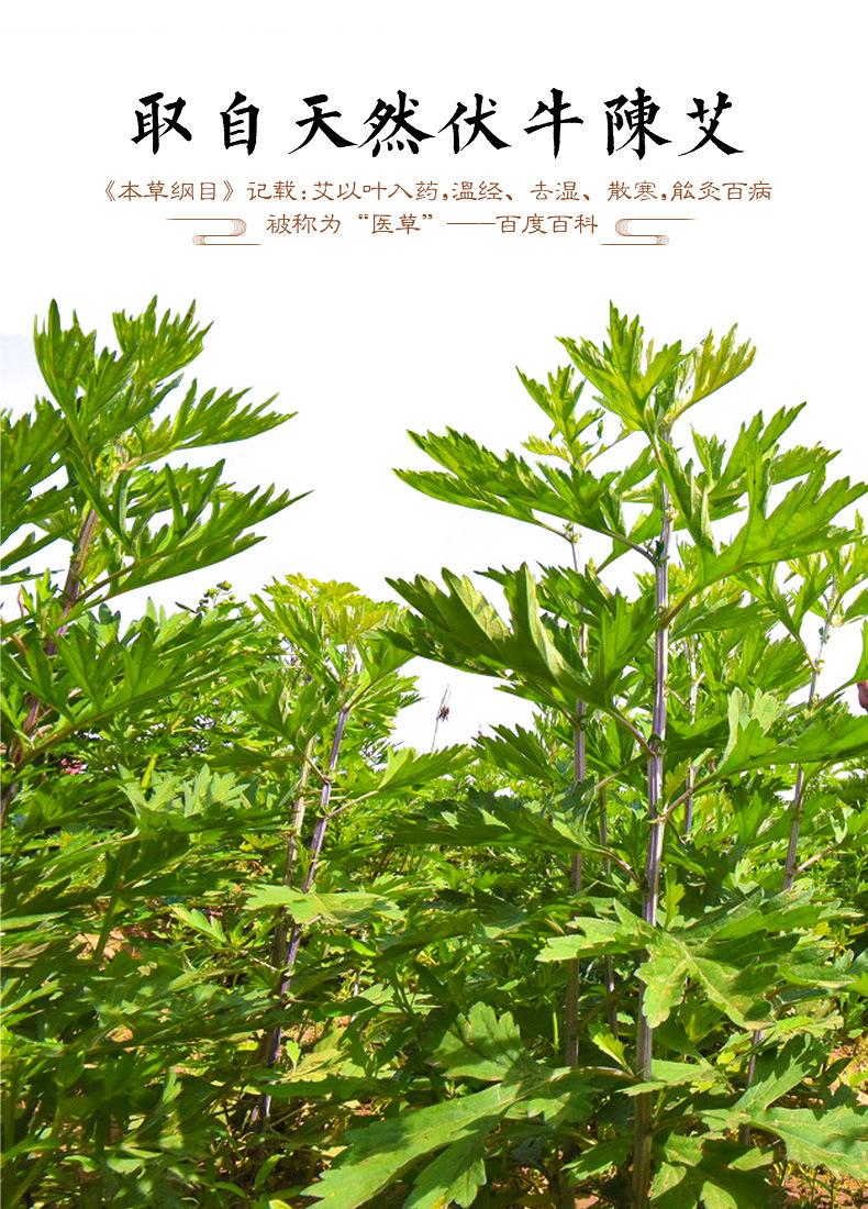 全是艾护膝宝_02