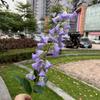 Comércio exterior roxo flores artificiais atacado monte de hortênsia roxa pervinca azul neve verde decoração de casamento flores falsas atacado