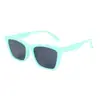Gafas de Sol Cuadradas Regalos Promocionales Personalizados Gafas de Sol para Mujer Exportación Transfronteriza Estilo Caliente Se Puede Imprimir Logo F33